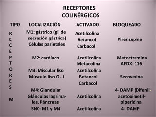 TIPO LOCALIZACIÓN ACTIVADO BLOQUEADO M1: gástrico (gl. de   secreción gástrica) Acetilcolina Pirenzepina Células parietales Betancol Carbacol   R E C E P T O R E S M2: cardíaco Acetilcolina Metoctramina Metacolina AFDX- 116 M3: Miscular liso   Acetilcolina Músculo liso G - I Betancol Secoverina M Carbacol  M4: Glandular 4- DAMP (Difenil - Glándulas lagrima- Acetilcolina acetoximetil- les. Páncreas . piperidina SNC: M1 y M4 Acetilcolina 4- DAMP   RECEPTORES   COLINÉRGICOS   