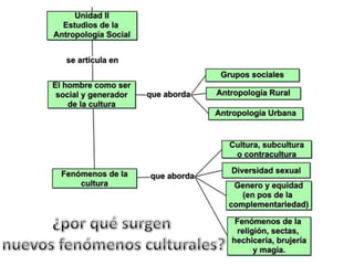 ¿por qué surgen nuevos fenómenos culturales?