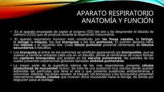 APARATO RESPIRATORIO
ANATOMÍA Y FUNCIÓN
• Es el aparato encargado de captar el oxígeno (O2) del aire y de desprender el dióxido de
carbono (CO2) que se produce durante la respiración mitocondrial.
• El aparato respiratorio humano está constituido por las fosas nasales, la faringe,
la laringe la tráquea, los dos bronquios y los dos pulmones. El pulmón derecho tiene
tres lóbulos y el izquierdo dos. Cada lóbulo pulmonar presenta centenares de lóbulos
secundarios o lobulillos.
• Los bronquios al entrar en los pulmones se ramifican apareciendo los bronquiolos, que se
vuelven a ramificar entrando cada uno en un lobulillo, dónde al ramificarse de nuevo forman
los capilares bronquiales que acaban en los sáculos pulmonares, las paredes de los
cuales presentan expansiones globoses llamadas alvéolos pulmonares.
• La mayor parte de la superficie interna de las vías respiratorias presenta células
productoras de mucosidad (moco). Se trata de una sustancia muy viscosa dónde quedan
adheridas las partículas que lleva el aire y que presenta sustancias antibacterianas y
antivíricas. Además, las fosas nasales, la tráquea, los bronquios y los bronquiolos presentan
internamente células ciliadas que mueven dicha mucosidad hacia la faringe, de dónde por
deglución pasa al esófago.
 