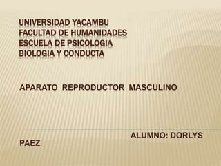 UNIVERSIDAD YACAMBU
FACULTAD DE HUMANIDADES
ESCUELA DE PSICOLOGIA
BIOLOGIA Y CONDUCTA
APARATO REPRODUCTOR MASCULINO
ALUMNO: DORLYS
PAEZ
 