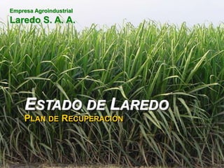 Empresa Agroindustrial
Laredo S. A. A.




     ESTADO DE LAREDO
     PLAN DE RECUPERACIÓN
 