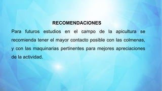 RECOMENDACIONES
Para futuros estudios en el campo de la apicultura se
recomienda tener el mayor contacto posible con las colmenas,
y con las maquinarias pertinentes para mejores apreciaciones
de la actividad.
 