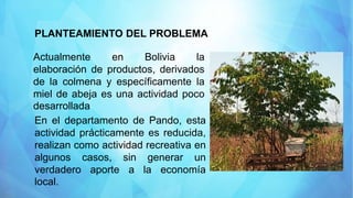 PLANTEAMIENTO DEL PROBLEMA
Actualmente en Bolivia la
elaboración de productos, derivados
de la colmena y específicamente la
miel de abeja es una actividad poco
desarrollada
En el departamento de Pando, esta
actividad prácticamente es reducida,
realizan como actividad recreativa en
algunos casos, sin generar un
verdadero aporte a la economía
local.
 