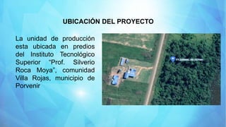 UBICACIÓN DEL PROYECTO
La unidad de producción
esta ubicada en predios
del Instituto Tecnológico
Superior “Prof. Silverio
Roca Moya”, comunidad
Villa Rojas, municipio de
Porvenir
 