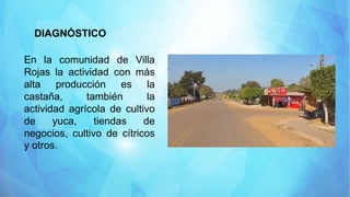 DIAGNÓSTICO
En la comunidad de Villa
Rojas la actividad con más
alta producción es la
castaña, también la
actividad agrícola de cultivo
de yuca, tiendas de
negocios, cultivo de cítricos
y otros.
 