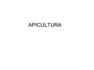 APICULTURA 