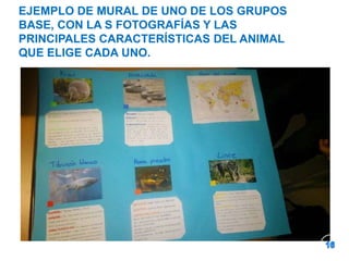 EJEMPLO DE MURAL DE UNO DE LOS GRUPOS
BASE, CON LA S FOTOGRAFÍAS Y LAS
PRINCIPALES CARACTERÍSTICAS DEL ANIMAL
QUE ELIGE CADA UNO.

 