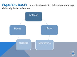 EQUIPOS BASE: cada miembro dentro del equipo se encarga
de los siguientes subtemas:

Anfibios

Peces

Reptiles

Aves

Mamíferos

 