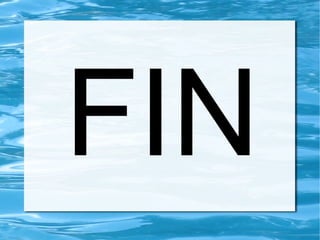 FIN
 