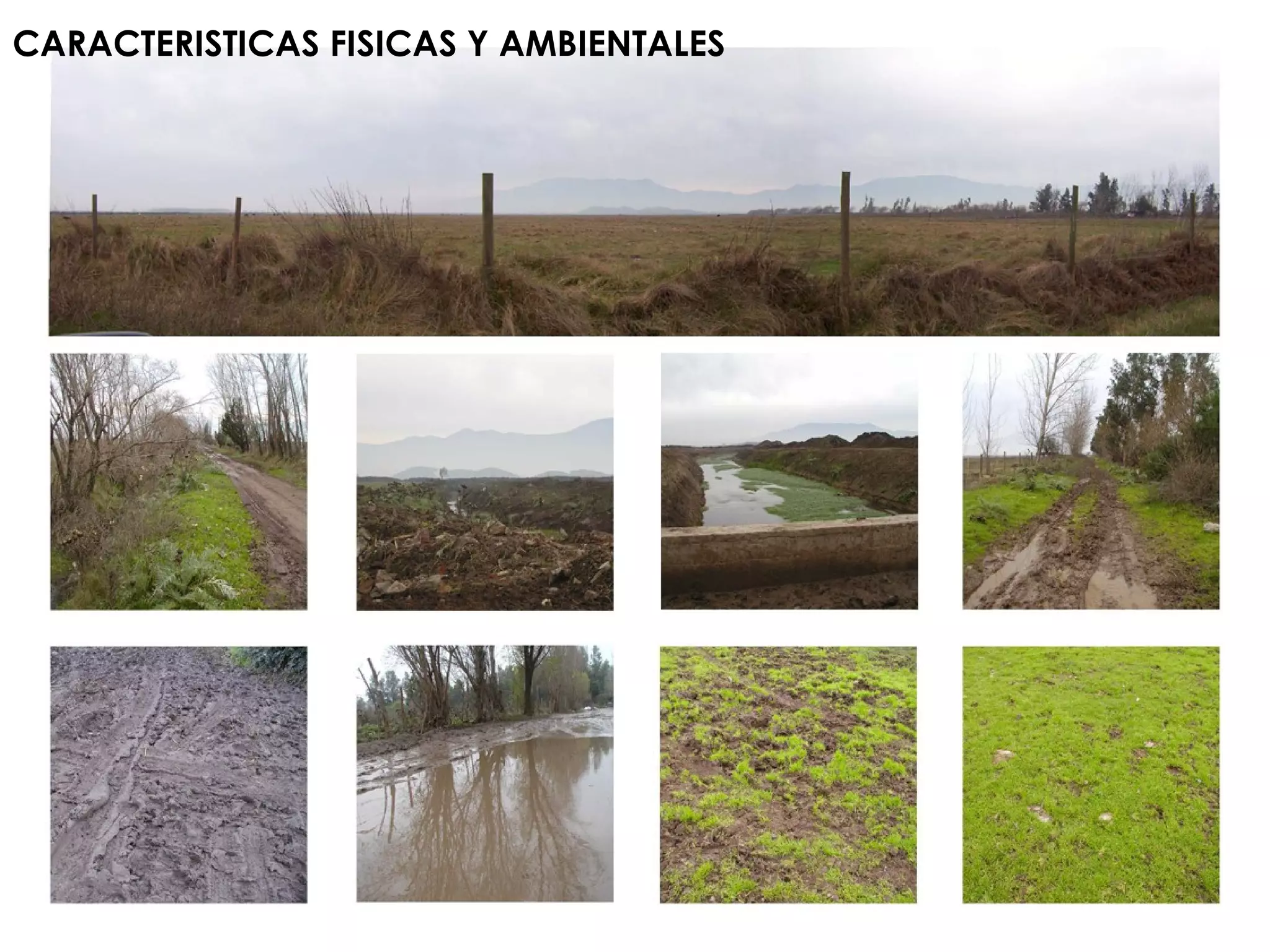 CARACTERISTICAS FISICAS Y AMBIENTALES   