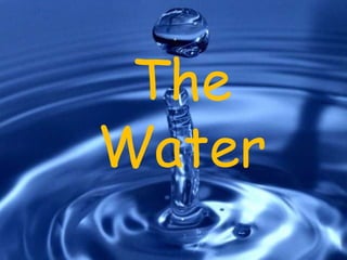 The
Water
 