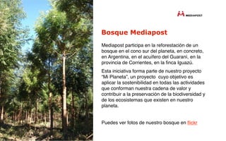 Bosque Mediapost
Mediapost participa en la reforestación de un
bosque en el cono sur del planeta, en concreto,
en Argentina, en el acuífero del Guaraní, en la
provincia de Corrientes, en la ﬁnca Iguazú.
Esta iniciativa forma parte de nuestro proyecto
“Mi Planeta”, un proyecto  cuyo objetivo es
aplicar la sostenibilidad en todas las actividades
que conforman nuestra cadena de valor y
contribuir a la preservación de la biodiversidad y
de los ecosistemas que existen en nuestro
planeta.


Puedes ver fotos de nuestro bosque en ﬂickr
 