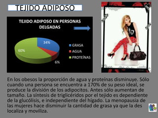 TEJIDO ADIPOSO
En los obesos la proporción de agua y proteínas disminuye. Sólo
cuando una persona se encuentra a 170% de su peso ideal, se
produce la división de los adipocitos. Antes sólo aumentan de
tamaño. La síntesis de triglicéridos por el tejido es dependiente
de la glucólisis, e independiente del hígado. La menopausia de
las mujeres hace disminuir la cantidad de grasa ya que la des
localiza y moviliza.
34%
6%
60%
TEJIDO ADIPOSO EN PERSONAS
DELGADAS
GRASA
AGUA
PROTEÍNAS
 