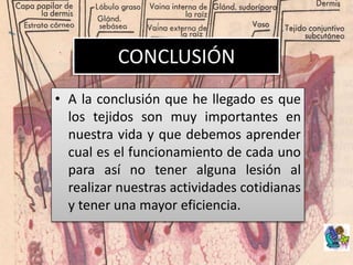 CONCLUSIÓN
• A la conclusión que he llegado es que
los tejidos son muy importantes en
nuestra vida y que debemos aprender
cual es el funcionamiento de cada uno
para así no tener alguna lesión al
realizar nuestras actividades cotidianas
y tener una mayor eficiencia.
 