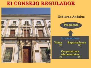Presidente Gobierno Andaluz 18 consejeros Viñas  Exportadores (6)  (8) Cooperativas Almacenistas (3)  (1) El CONSEJO REGULADOR 