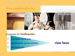 la elaboración de la Manzanilla Una combinación de... prensado de la uva clasificación de los mostos fermentación el proceso de  vinificación: tradición naturaleza tecnología vino base 