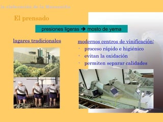 El prensado presiones ligeras    mosto de yema la elaboración de la Manzanilla modernos centros de vinificación: proceso rápido e higiénico evitan la oxidación permiten separar calidades lagares tradicionales 