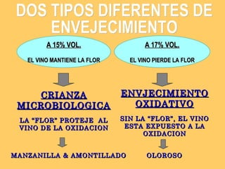 DOS TIPOS DIFERENTES DE ENVEJECIMIENTO A 15% VOL. EL VINO MANTIENE LA FLOR A 17% VOL. EL VINO PIERDE LA FLOR CRIANZA MICROBIOLOGICA LA “FLOR” PROTEJE  AL VINO DE LA OXIDACION ENVJECIMIENTO OXIDATIVO SIN LA “FLOR”, EL VINO ESTA EXPUESTO A LA OXIDACION MANZANILLA & AMONTILLADO OLOROSO 