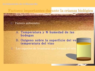 Temperatura y % humedad de las bodegas Oxígeno sobre la superficie del velo y temperatura del vino Factores ambientales Factores importantes durante la crianza biológica Las especies de levaduras que forman el velo la elaboración de la Manzanilla 