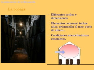 La bodega Diferentes estilos y dimensiones. Elementos comunes: techos altos, orientación al mar, suelo de albero... Condiciones microclimáticas constantes . la elaboración de la Manzanilla 