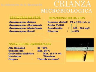 CRIANZA MICROBIOLOGICA la elaboración de la Manzanilla LEVADURAS DE FLOR Saccharomyces Beticus Saccharomyces Cheresiensis Saccharomyces Montuliensis Saccharomyces Rouxii CONDICIONES AMBIENTALES Alta Humedad - 80 - 90% Temperatura - Max. 28º C Graduación alcohólica - Max. 15.5 % vol. Nutrientes - Vitaminas Oxigeno - “Corrida de clases”   INFLUENCIA EN EL VINO Consumo alcohol:  0’5 a 1’0% vol / yr Acidez Volátil Acetaldehido  :  300 - 600 mg/l  Glicerina   :  a 50% 