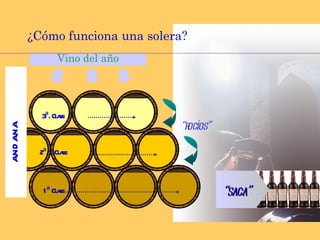 ¿Cómo funciona una solera? a n d a n a “ rocíos” 1ª Clase 2ª.  Clase 3ª. Clase “ saca” Vino del año 