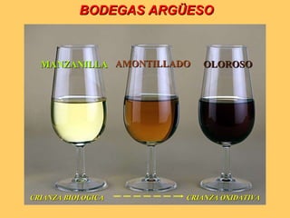 BODEGAS ARGÜESO   MANZANILLA AMONTILLADO OLOROSO CRIANZA BIOLOGICA  CRIANZA OXIDATIVA 
