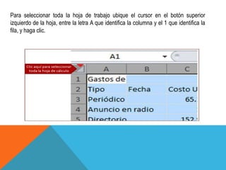 Para seleccionar toda la hoja de trabajo ubique el cursor en el botón superior 
izquierdo de la hoja, entre la letra A que identifica la columna y el 1 que identifica la 
fila, y haga clic. 
 