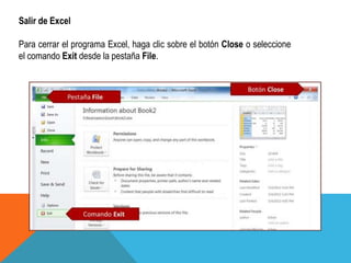 Salir de Excel 
Para cerrar el programa Excel, haga clic sobre el botón Close o seleccione 
el comando Exit desde la pestaña File. 
 