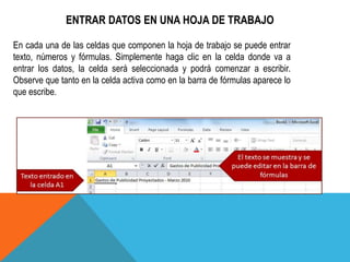 ENTRAR DATOS EN UNA HOJA DE TRABAJO 
En cada una de las celdas que componen la hoja de trabajo se puede entrar 
texto, números y fórmulas. Simplemente haga clic en la celda donde va a 
entrar los datos, la celda será seleccionada y podrá comenzar a escribir. 
Observe que tanto en la celda activa como en la barra de fórmulas aparece lo 
que escribe. 
 