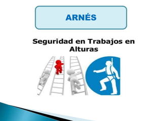 ARNÉS
 