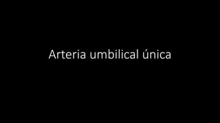 Arteria umbilical única
 