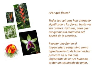 ¿Por qué flores?

Todas las culturas han otorgado
significado a las flores, basta ver
sus colores, texturas, para que
evoquemos la maravilla del
diseño de la creación.

Regalar una flor en el
impercedero pergamino como
agradecimiento de haber dicho:
presente en el día más
importante de un ser humano,
es dar un testimonio de amor.
 