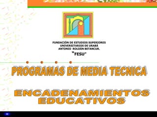 PROGRAMAS DE MEDIA TECNICA ENCADENAMIENTOS  EDUCATIVOS 