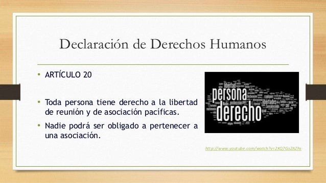 Presentacion articulo 20