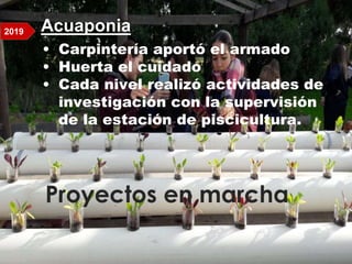 Proyectos en marcha
Acuaponia:
• Carpintería aportó el armado
• Huerta el cuidado
• Cada nivel realizó actividades de
investigación con la supervisión
de la estación de piscicultura.
2019
 