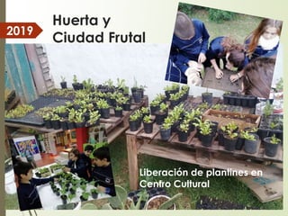 Huerta y
Ciudad Frutal
Liberación de plantines
Liberación de plantines en
Centro Cultural
2019
 
