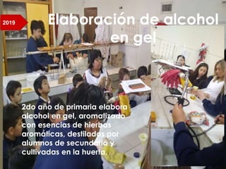 ➢ 2do año de primaria elabora
alcohol en gel, aromatizado
con esencias de hierbas
aromáticas, destiladas por
alumnos de secundaria y
cultivadas en la huerta.
Elaboración de alcohol
en gel
2019
 