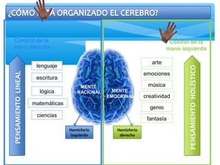 MENTE
RACIONAL
Control de la
mano derecha
Hemisferio
izquierdo
lenguaje
escritura
lógica
matemáticas
ciencias
PENSAMIENTOLINEAL
Control de la
mano izquierda
Hemisferio
derecho
MENTE
EMOCIONAL
PENSAMIENTOHOLÍSTICO
arte
emociones
música
creatividad
genio
fantasía
 