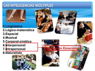 1.Lingüística
2.Lógico-matemática
3.Espacial
4.Musical
5.Corporal-cinética
6.Interpersonal
7.Intrapersonal
8.Naturalista
Educación Emocional
 