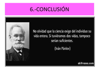 6.-CONCLUSIÓN
 