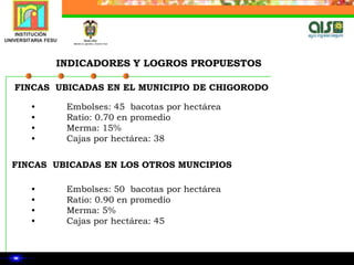 MECANISMOS DE CONTROL QUE GARANTIZAN CUMPLIMIENTOEstricto y continuo seguimiento que consta de las actividades listadas a continuación, entre otras; 