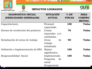   Visitas de seguimiento a las finca y monitoreo telefónico desde la  coordinación