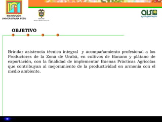 OBJETIVOBrindar asistencia técnica integral  y acompañamiento profesional a los Productores de la Zona de Urabá, en cultivos de Banano y plátano de exportación, con la finalidad de implementar Buenas Prácticas Agrícolas que contribuyan al mejoramiento de la productividad en armonía con el medio ambiente.