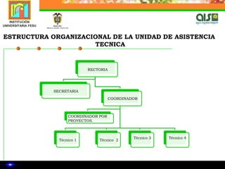 ESTRUCTURA ORGANIZACIONAL DE LA UNIDAD DE ASISTENCIA TECNICA