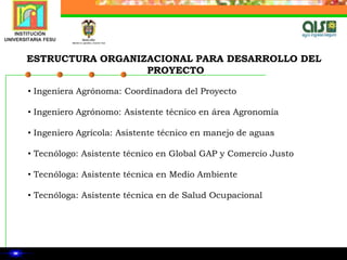ESTRUCTURA ORGANIZACIONAL PARA DESARROLLO DEL PROYECTO Ingeniera Agrónoma: Coordinadora del Proyecto