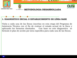  Ingeniero Agrónomo: Asistente técnico en área Agronomía