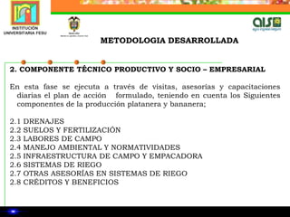  Ingeniero Agrícola: Asistente técnico en manejo de aguas
