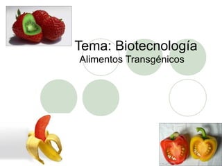 Tema: Biotecnología
Alimentos Transgénicos
 