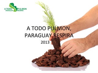 A TODO PULMON,
PARAGUAY RESPIRA
2013
 